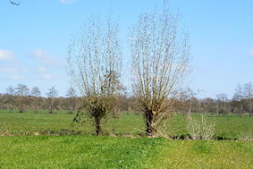 bouwen in het slagenlandscahp?